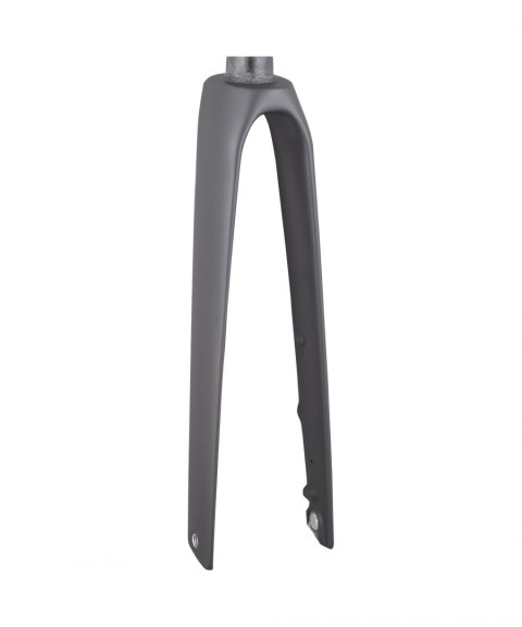 Trek 2021 Madone SLR 700c Rigid Forks 310mm, 40mm Onyx Carbon