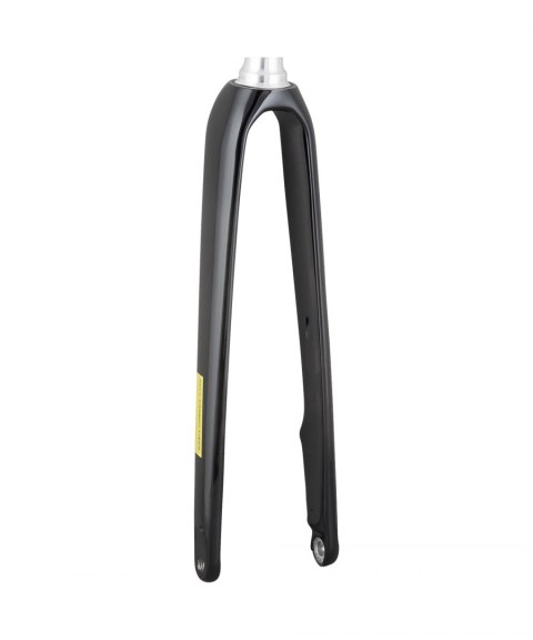 Trek 2021 Domane AL 2 700c Disc Rigid Forks 270mm, 53mm Czarny Trek/Carbon Smoke