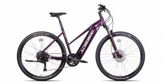 Unibike Falcon Damski Burgundowy 2024 (17")