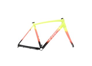 Crockett Disc F/S 50 Glowstick to Living Coral Fade