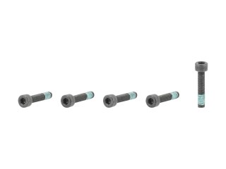 Fastener Trek M5x0.8x25mm Sckt H-Cap 10.9 Thrdlock 5/Set
