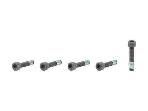 Fastener Trek M5x0.8x25mm Sckt H-Cap 10.9 Thrdlock 5/Set