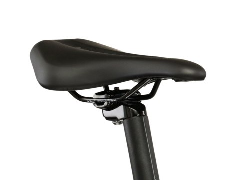 Kross Lea 4.0 29" Biały Fioletowy Połysk 2026 (L)