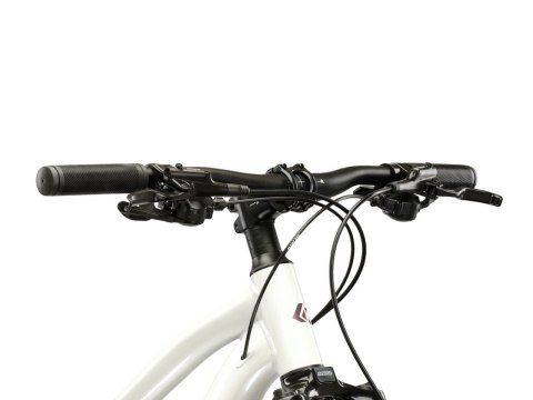 Kross Lea 4.0 29" Biały Fioletowy Połysk 2026 (L)