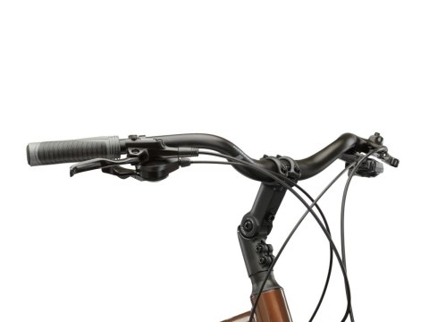 Kross Trans 5.0 Męski Brązowy Srebrny Połysk 2026 (XL)