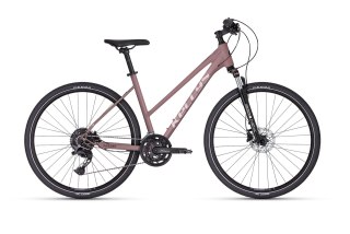 Kellys Pheebe 30 Rose Gold 2026 (M)