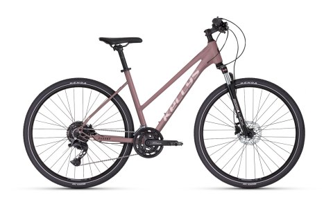 Kellys Pheebe 30 Rose Gold 2026 (M)