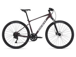 Giant Roam 2 Disc Charcoal Plum 2024 (L)