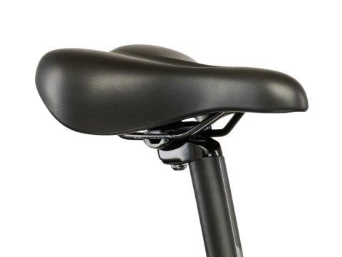Kross Lea 5.0 29" Czarny Złoty Połysk 2026 (L)