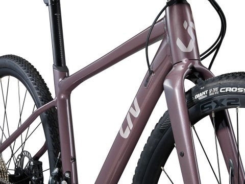 Liv Devote 1 Charcoal Plum 2025 (L)