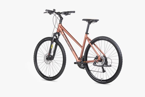 Unibike Flash Damski Brandy 2026 (19")