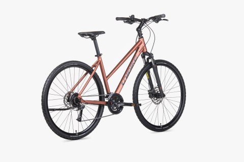 Unibike Flash Damski Brandy 2026 (19")