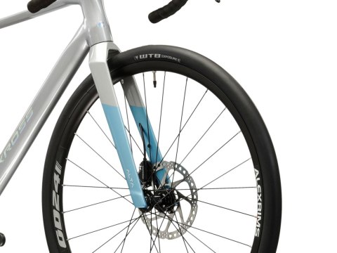 Kross Alta 2.0 Srebrny Turkusowy Niebieski Laser Połysk 2026 (L)
