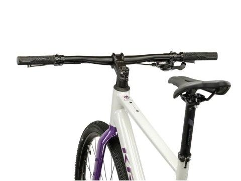 Kross Esker 1.0 FL Szary Fioletowy Połysk 2026 (XS)