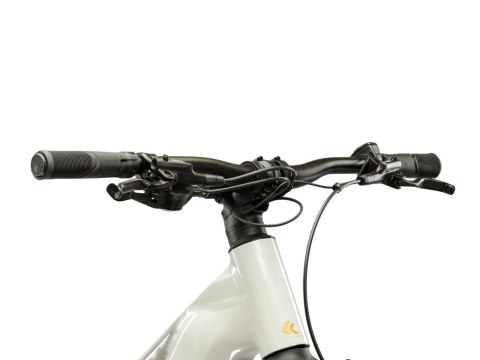 Kross Influx Hybrid 1.0 720Wh Szary Złoty Połysk 2026 (S)