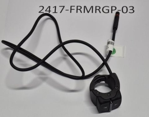 Kontroler RideControl Ergo 4 For SG 2.0 System L:700mm W/bolts (HMI 2.0)