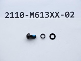 Śruba/Wkret M6 x 1.0 x 13mm w/Washer 10B21